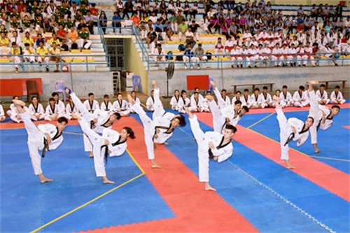 Giải vô địch Taekwondo các câu lạc bộ mạnh toàn quốc 2017